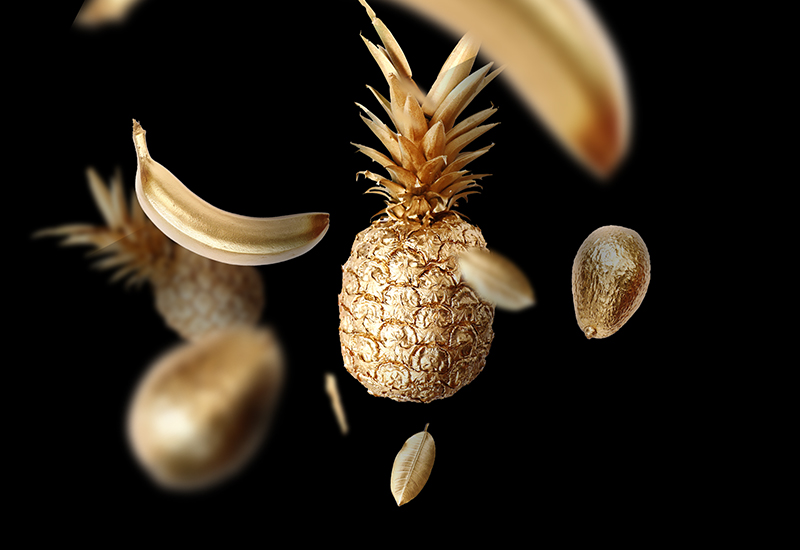 portfolio-nord-800×550-golden-fruit