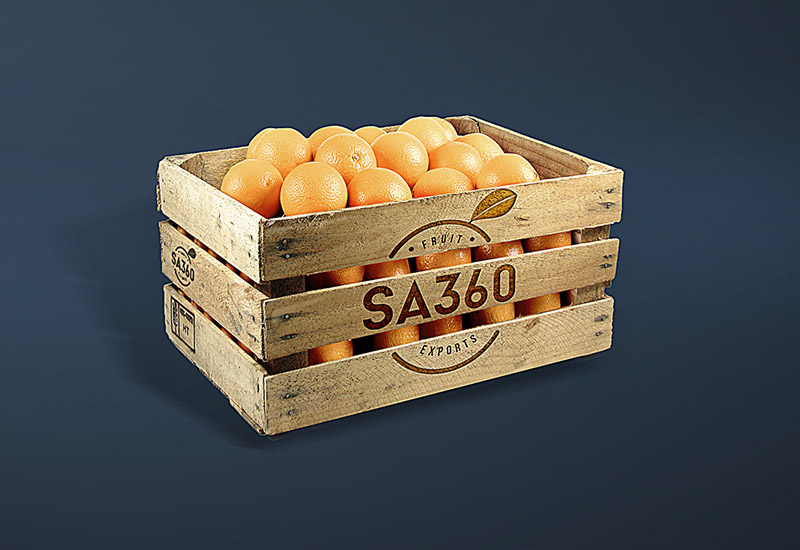 portfolio-sa360-800×550-crate