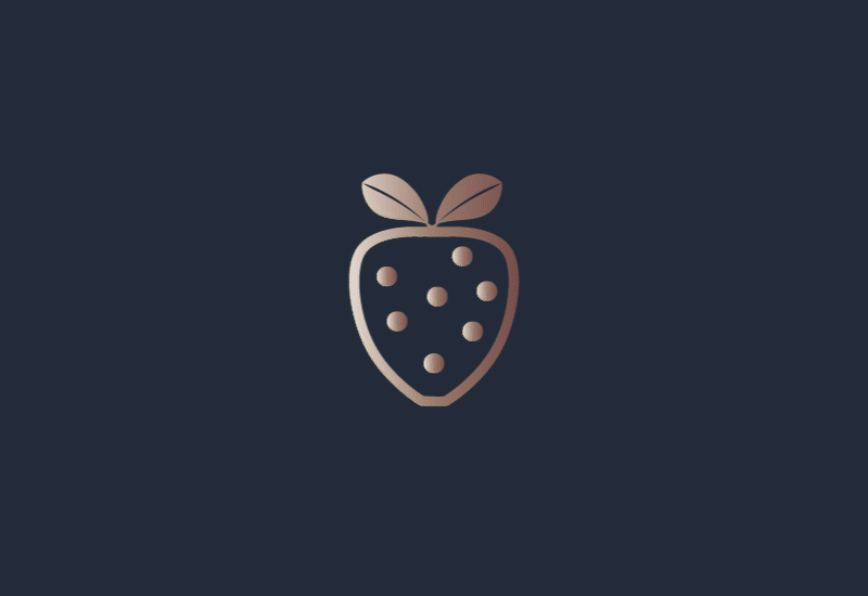 portfolio-sa360-800×550-icons