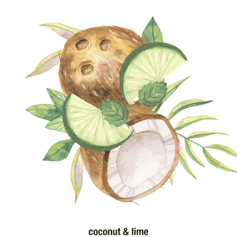 Juizzzy_Animation_Illustrations